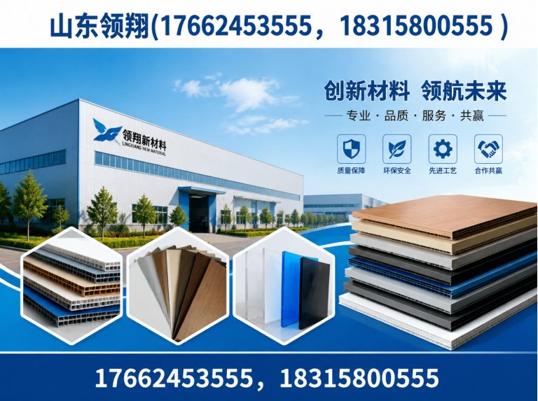 东方山东领翔展示图